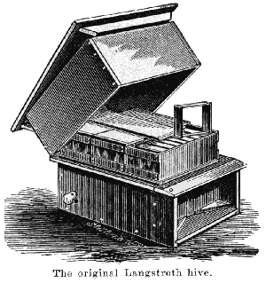 Langstroth Hive