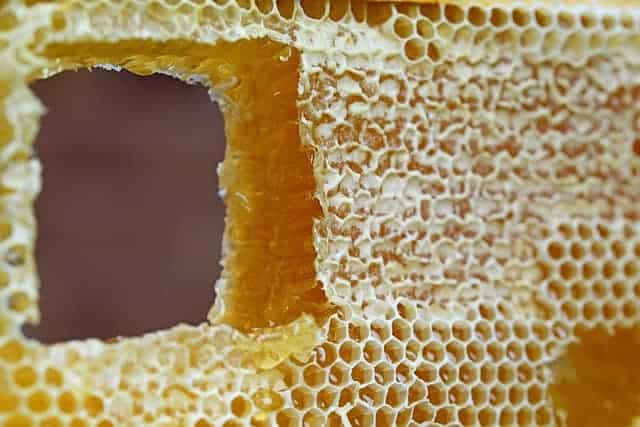 Honeycomb