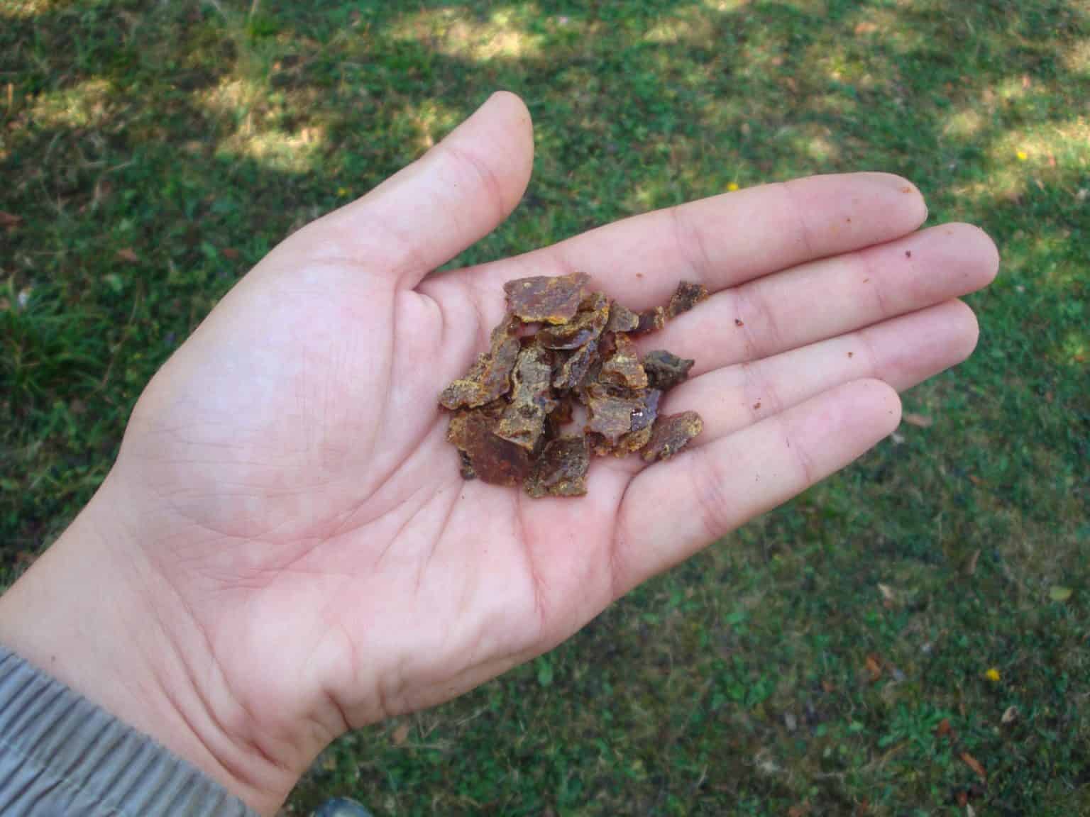 Propolis (Rade Nagraisalovic)