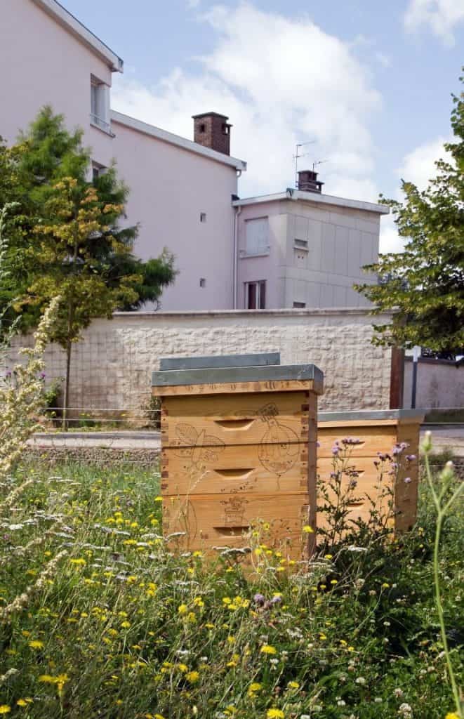 Beehive in urban garden