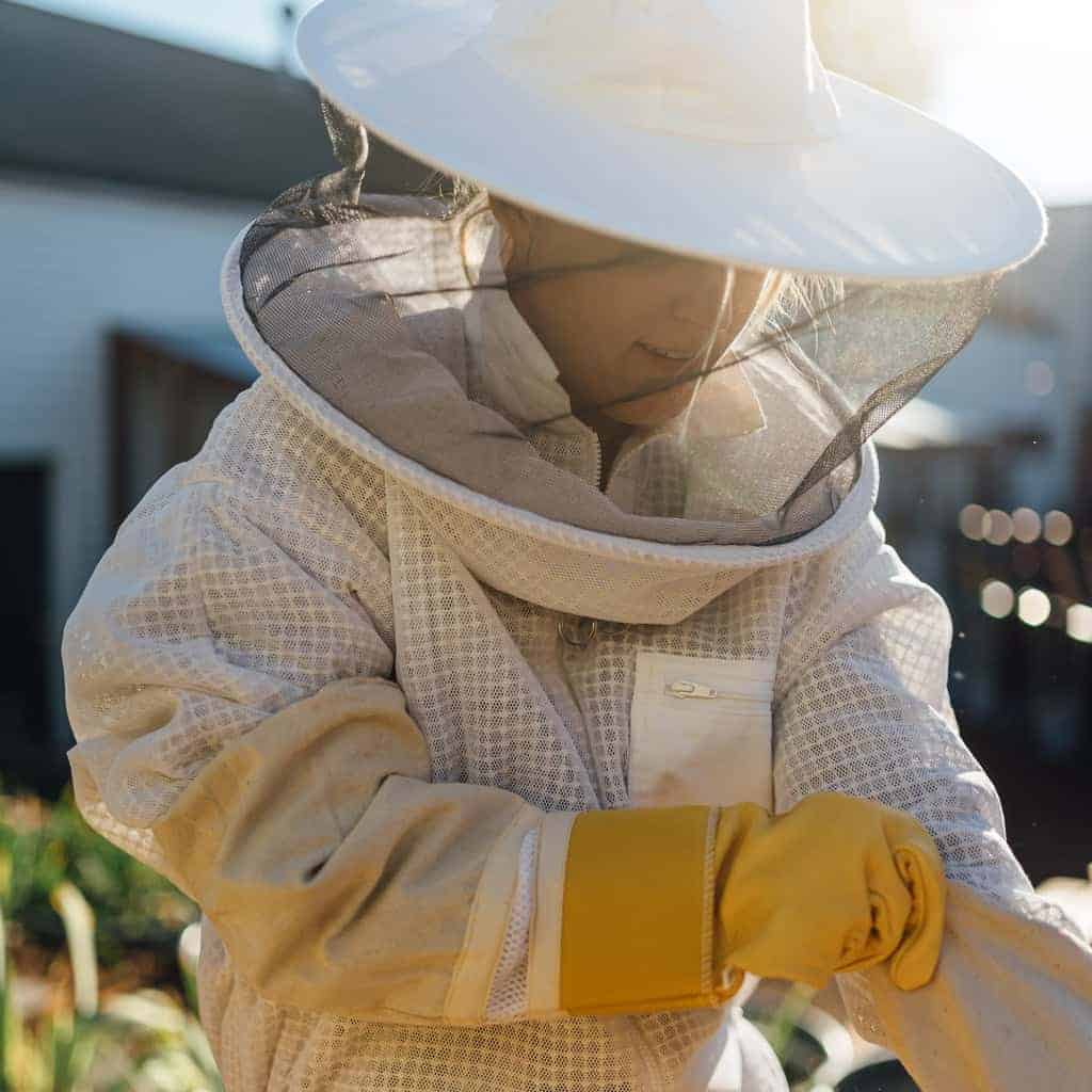 Beekeeping Protective Clothing Overview