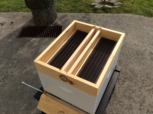 The Hive Top Feeder
