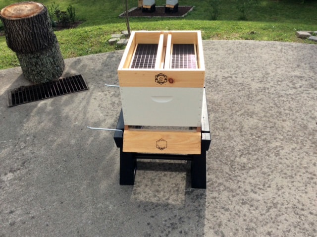 Hive Top Feeder In Place
