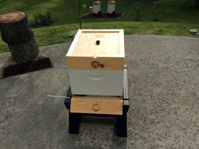 Top Board in Place