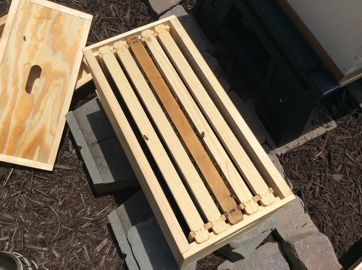 The Joy of Installing Nucs PerfectBee