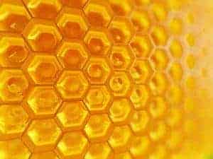 Fragment of Honeycomb