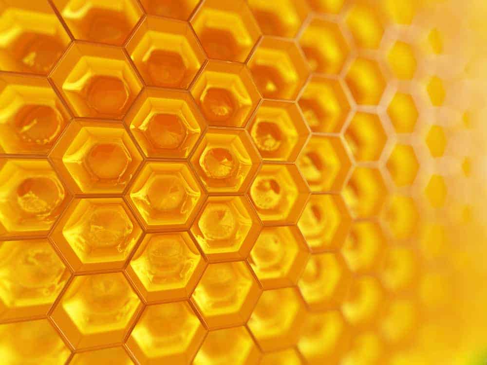Fragment of honeycomb with full  cells in bright sunlight.