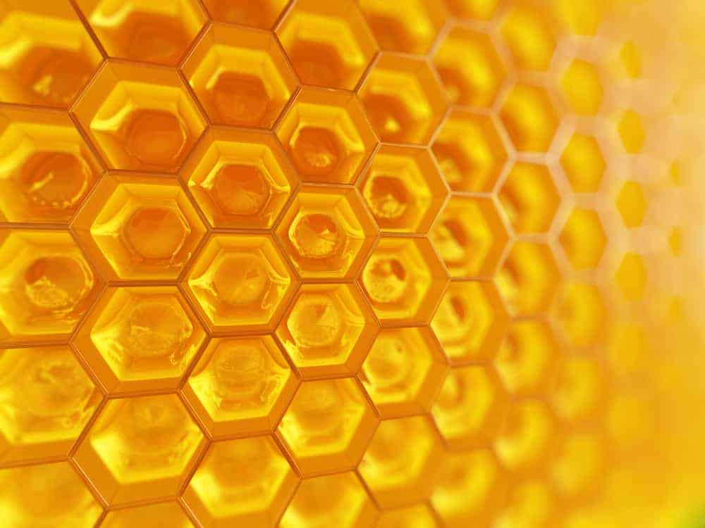 Fragment of honeycomb with full cells in bright sunlight.