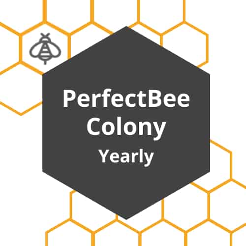 Colony Annual Membership