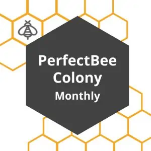Colony Monthly Membership