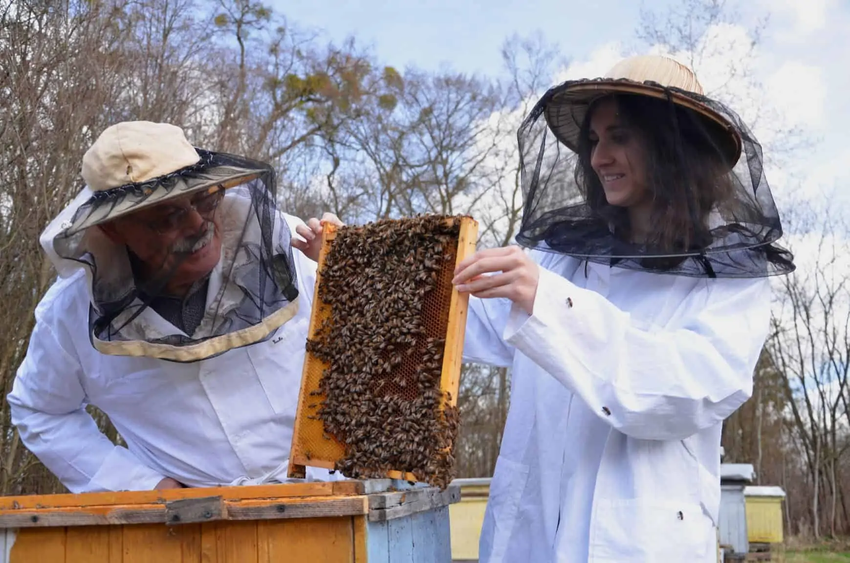 Beekeeper and mentor