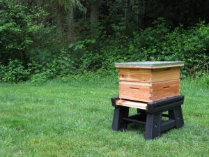 Cedar beehive on hive stand