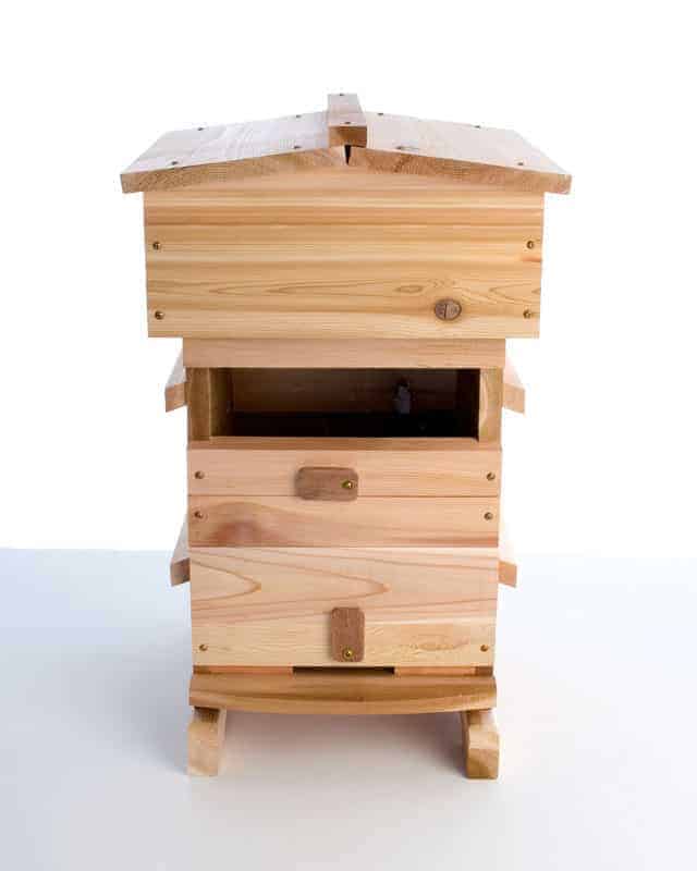 Warre hive with window