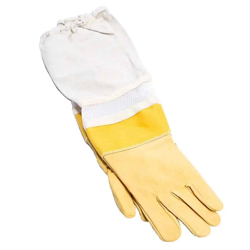 bee gloves