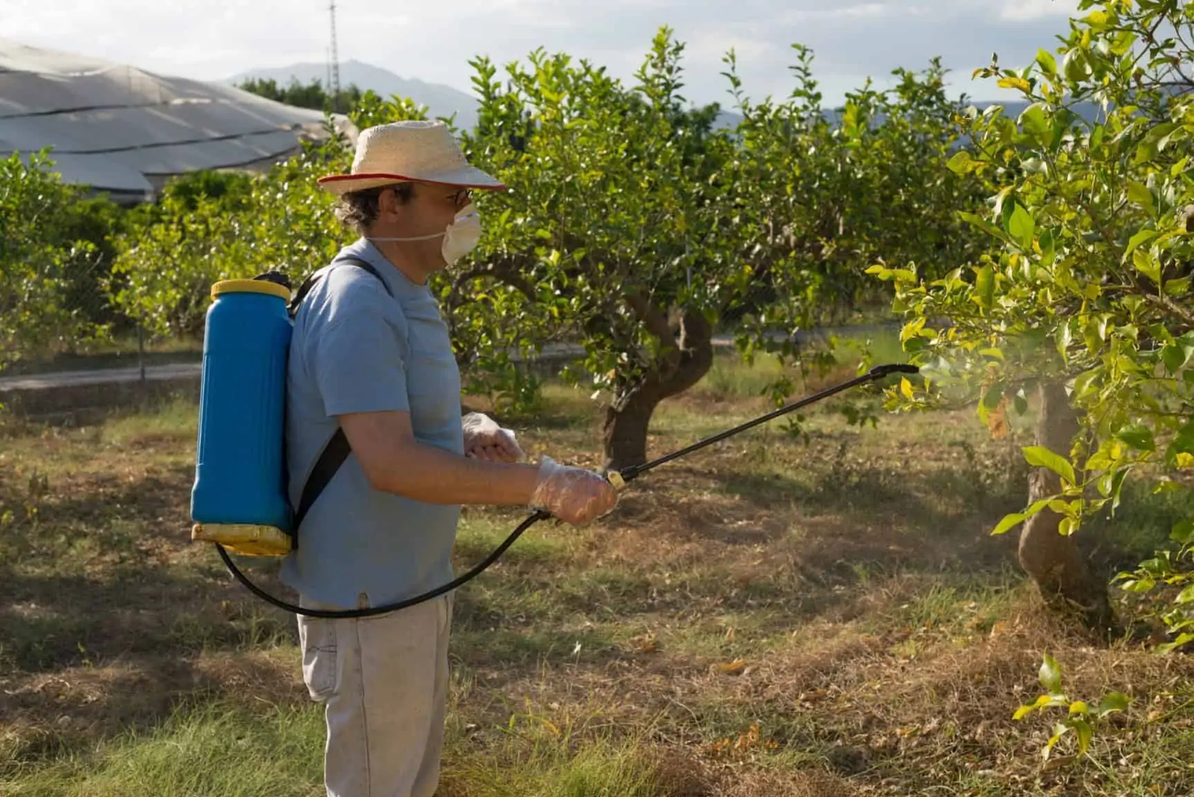 Spraying pesticides