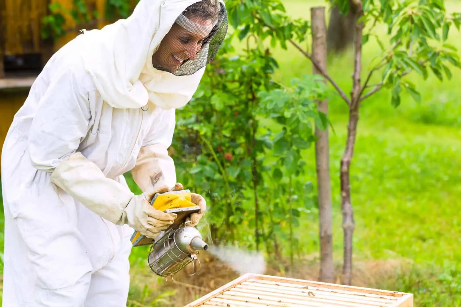 Beekeeper with smoker