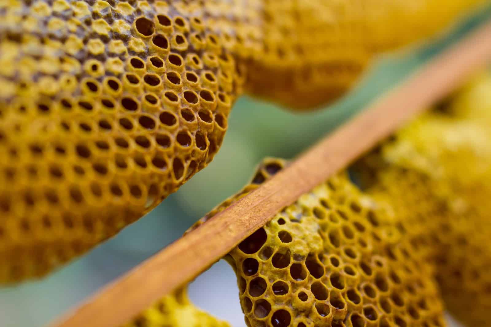 Beekeeping Honeycomb Foundation Wax Frame Honey Hive Equipment Tool Supplies 6L 