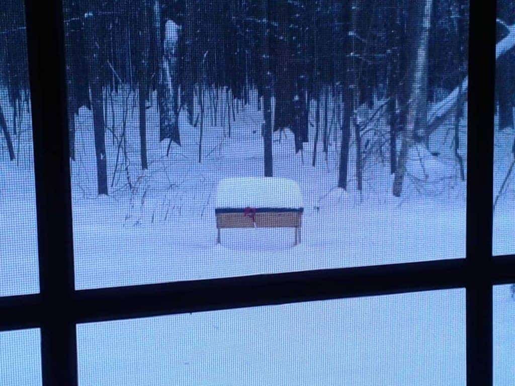 My Beehive In The Snow