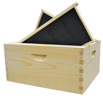 Complete bee box with frames