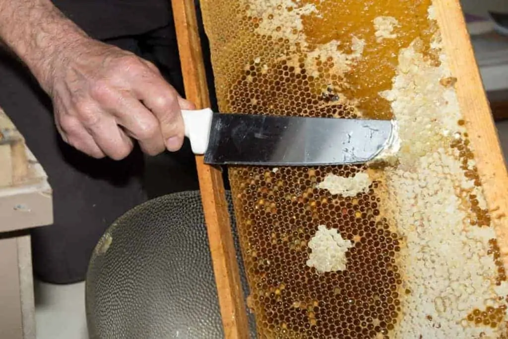 Honey harvesting