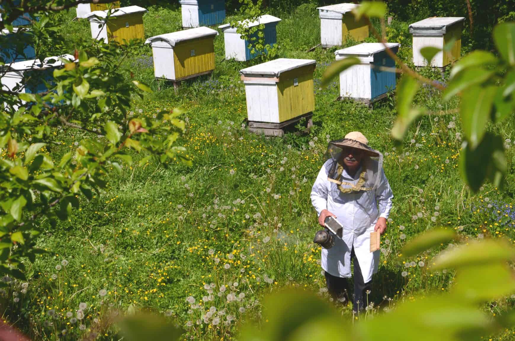 Beekeepers are struggling to keep up with farms' pollination needs