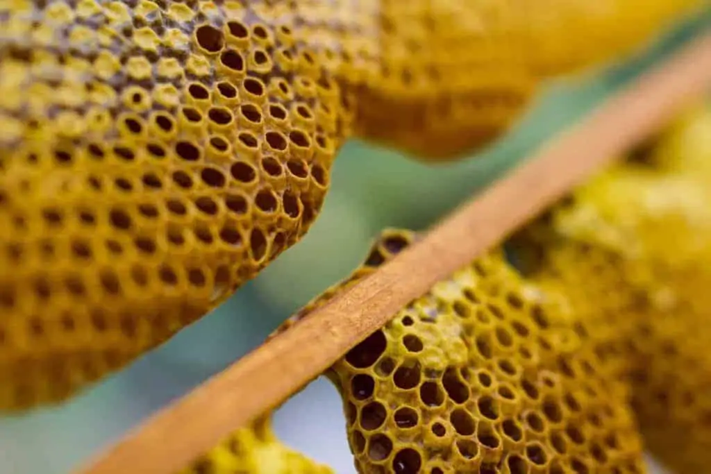 Honeycomb