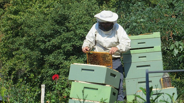 Beekeeper in Spring
