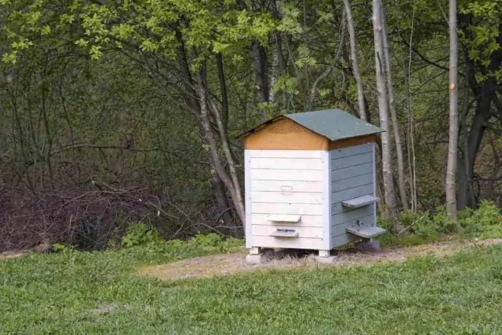 Beehive on slope