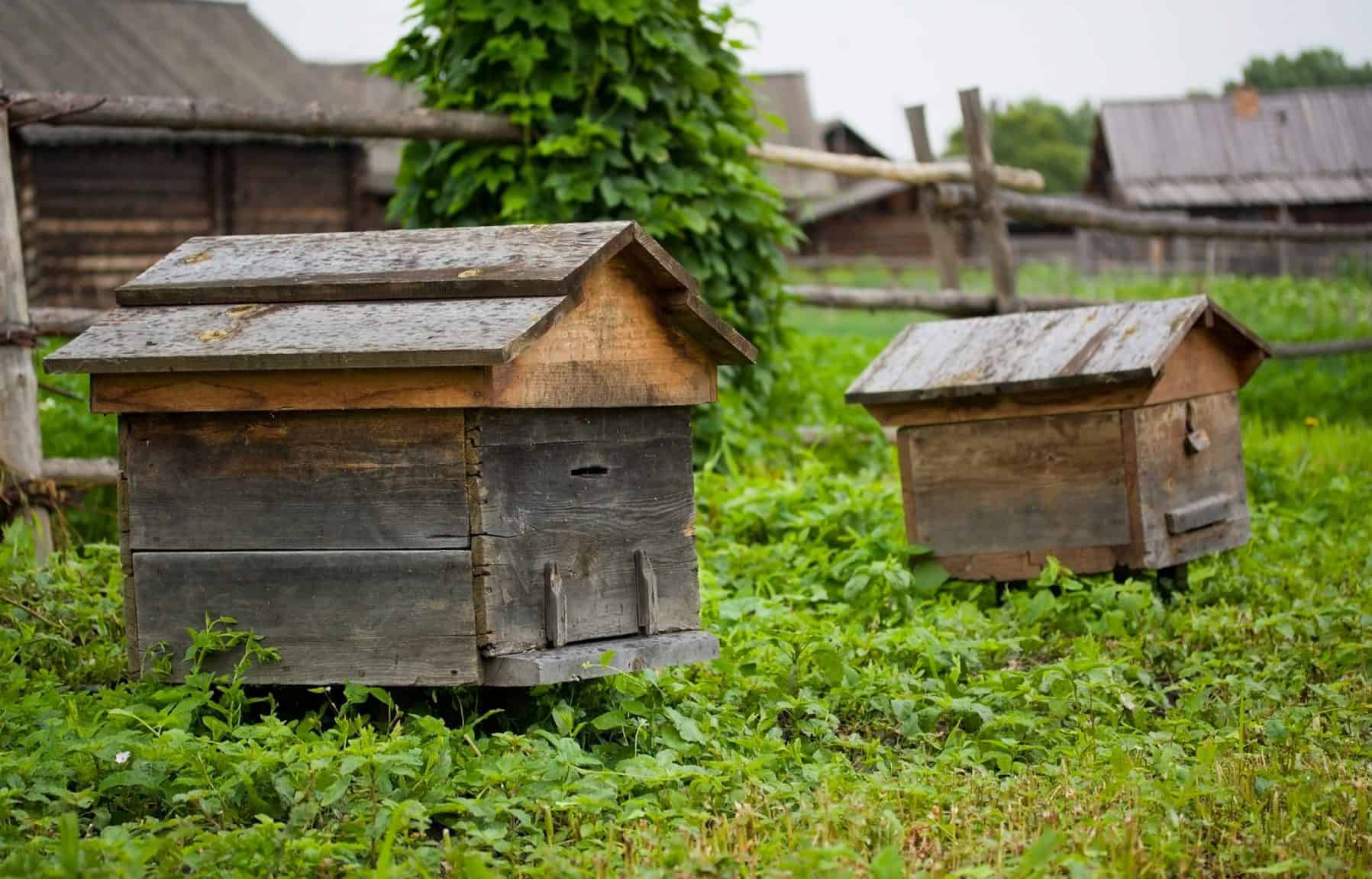 Vintage beehive