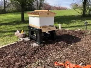 The New Hive Box