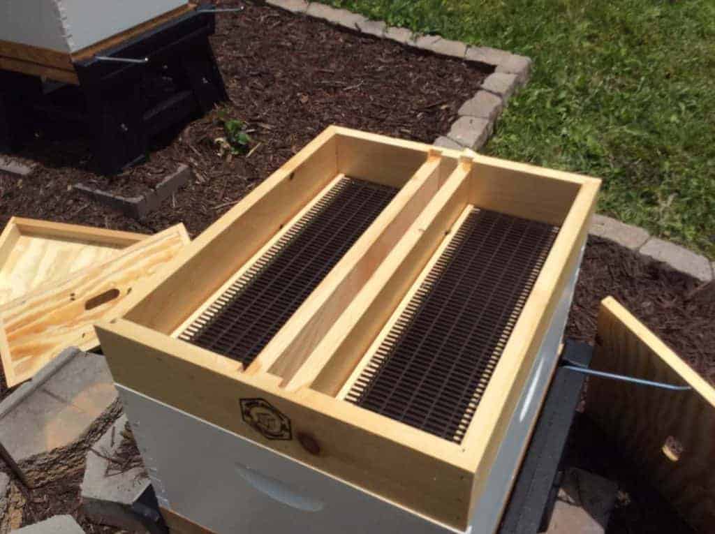 Place the Top Hive Feeder