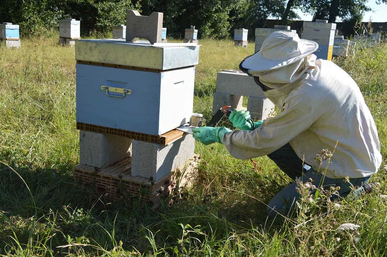 Hive Cleaner Beekeeping Oxalic Acid Crystals 