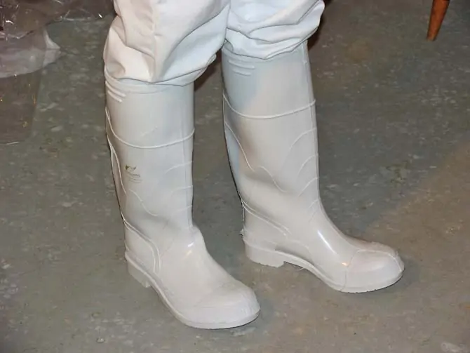 Beekeeper boots