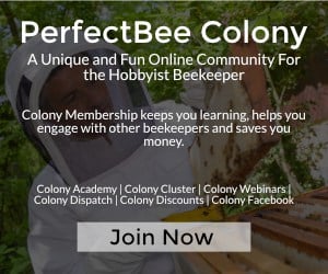PerfectBee Colony