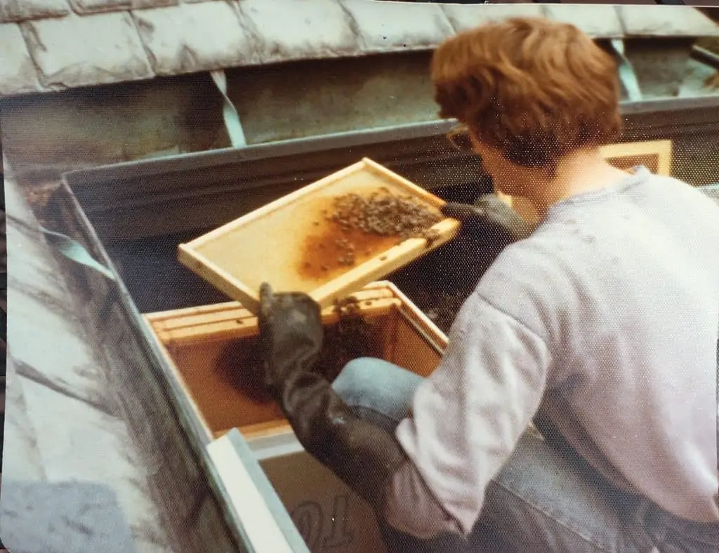 Sandy Soares Beekeeping In 1978