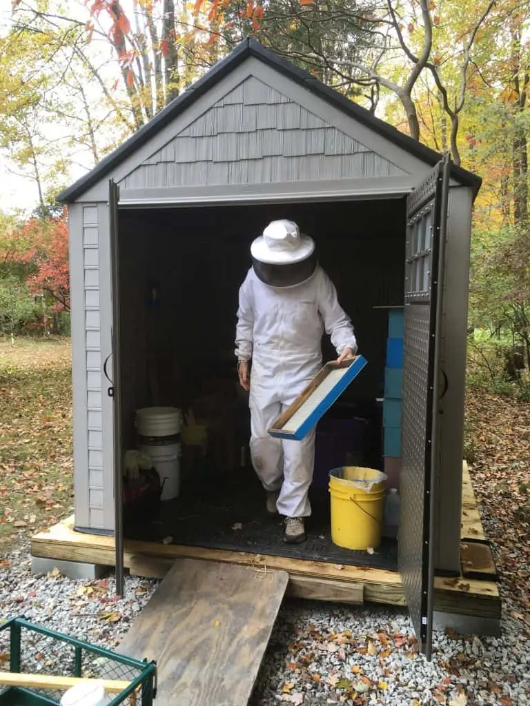 Sandy Soares, Bee Shed