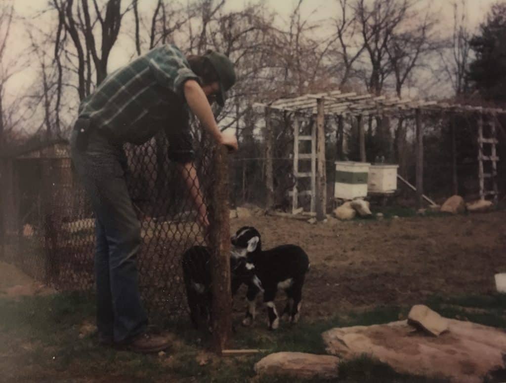 The Soares' hives in 1978