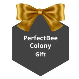 Top 10 Best Gifts for Beekeepers