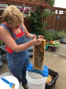 What should I do with wet honey frames after extraction?