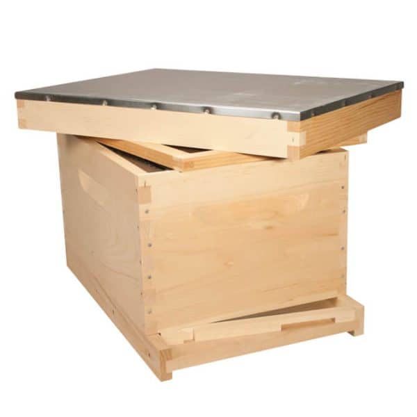 Complete Basic Hive (Assembled)
