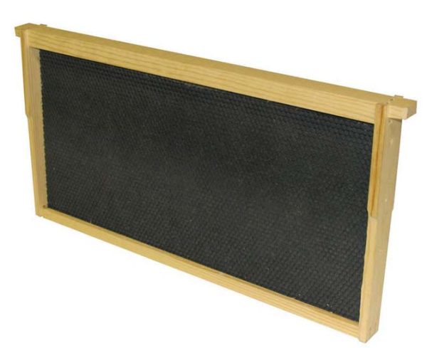 Deep Wooden Frame with Waxed Foundation