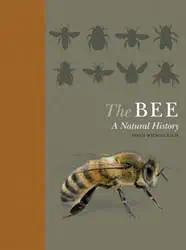 The Bee A Natural History Book