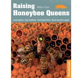 honeybee queens