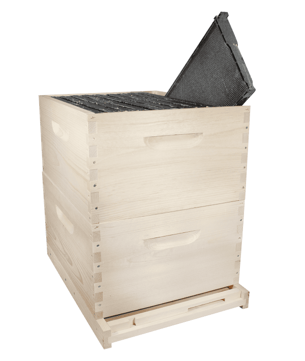 Langstroth 8 Frame 2 Box Hive - Image 2