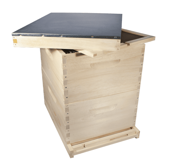 Langstroth 8 Frame 2 Box Hive - Image 3