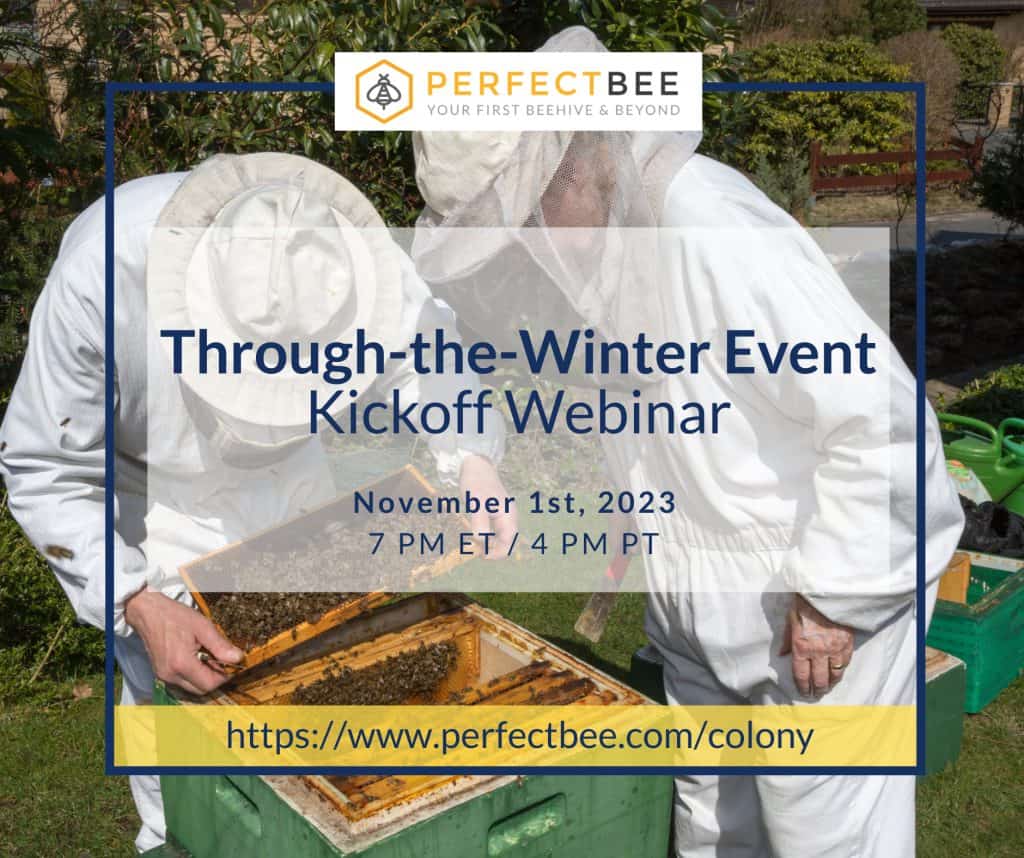Through-the-Winter Event Introductory Webinar