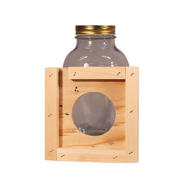 Small Jar Feeder - Image 2
