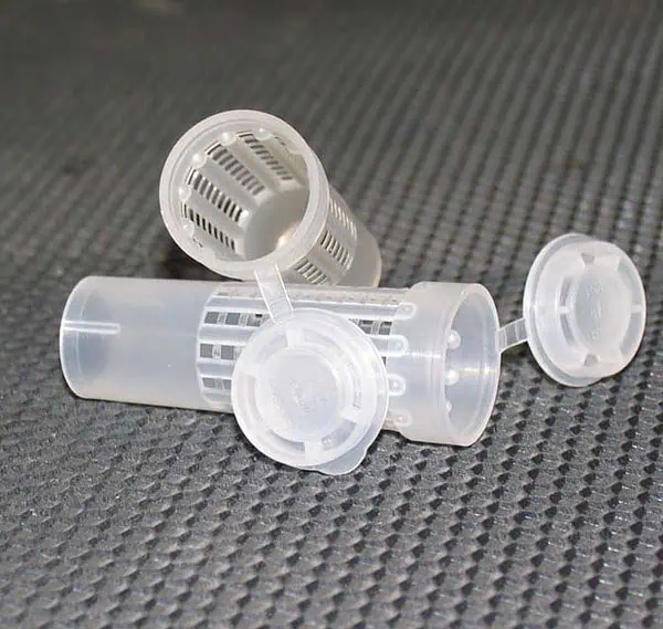 Queen Hatching Cages - 10 pack